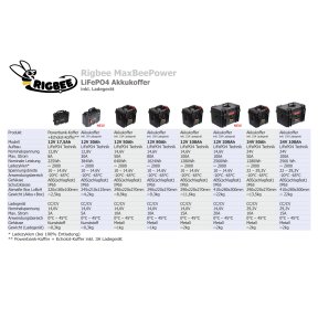 Rigbee LiFePO4 Akkukoffer 12V 100Ah / 1280Wh